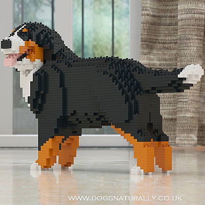 Bernese Mountian Dog (Wag) Jekca Available in 2 Sizes